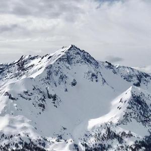 如果我们在夜里去看海