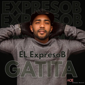 Gatita