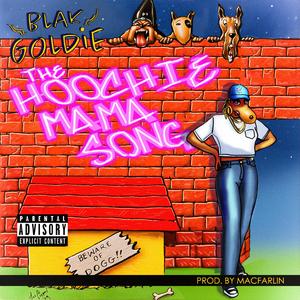 The Hoochie Mama Song