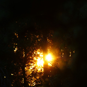 Absprung