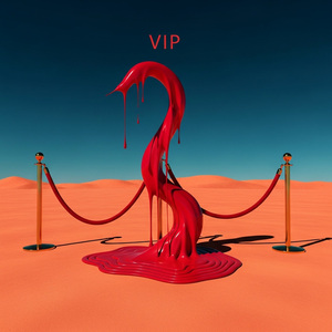 My VIP