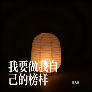 我要做我自己的榜样