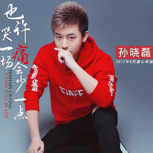 也许哭一场痛会少一点