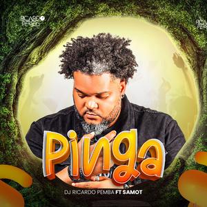 DJ RICARDOPEMBA (PINGA) (feat. SAMOT)