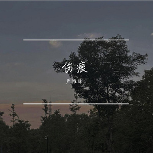 伤痕（Prod by FRESH-ye）