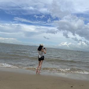 天音ai-电脑前的思念 伴奏