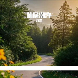抽屉潮汐