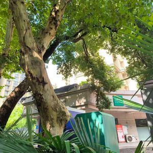 笑着聊起痛哭的曲折