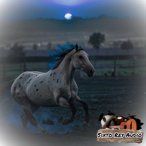 Sergio Ramírez - El Negrito Vainero