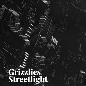 Grizzlies Streetlight/孟菲斯type beat/酸性电子未来感街头