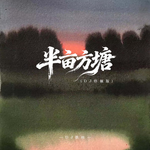 半亩方塘 (DJ版)