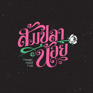 ซอยข่อยแน