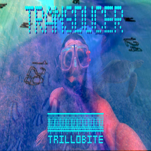 Transducer