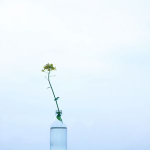 《能不能好好的说几句话》