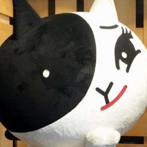 冷风中的钢琴与海韵