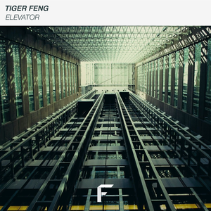 Elevator (Extended Mix)