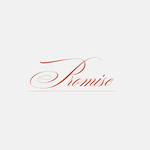 Promise