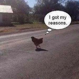 redevenir normal (feat. petite amie <3)