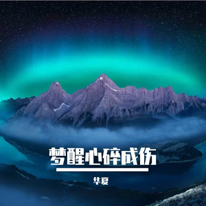 梦醒心碎成伤