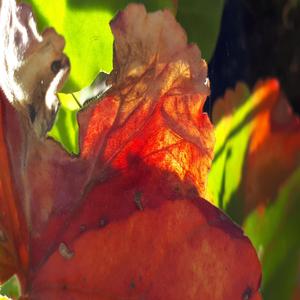 2noral Beat 6 Hertz Deep Relaxation