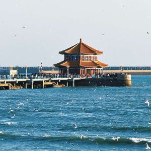 青岛的风步泽的暖-青岛步泽