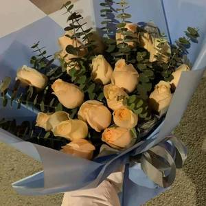 友情卡片（翻自 沙宝亮）