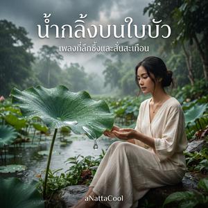 น้ำกลิ้งบนใบบัว
