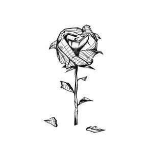 Summertime Love (Rough Draft)