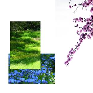 Lea