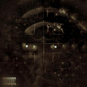 Double Vision (feat. Danny P)