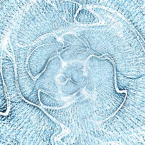 Glycerin
