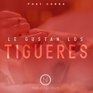 Le Gustan Los Tigueres