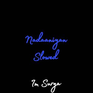 Nadaaniyan Slowed