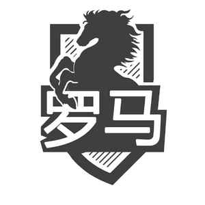 Alan Walke - Faded（DJ罗马 remix）