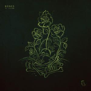 Bones