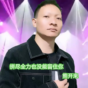 拼尽全力也没能留住你