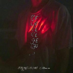 healy-FALLEN(Remix Reckless）（$FReSH$ / 阴森森 remix）