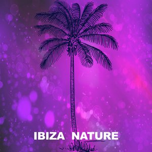 Whistle (Ibiza Son Remix)