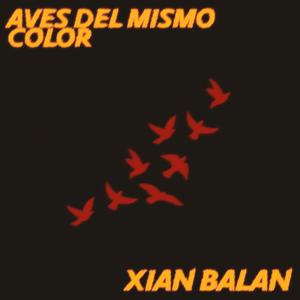 Aves del mismo color