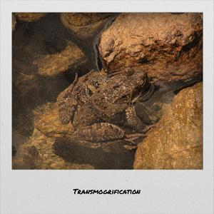 Thermogenesis Download