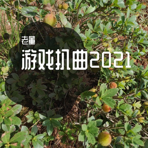 忍者龙剑传2 - Chaosium Sword