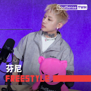 芬尼 TWH Freestyle