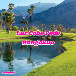 Lur Cobo Rungokno