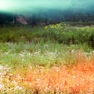 잔잔히 머무르다