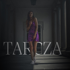 Tarcza