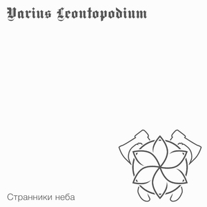 Странники неба