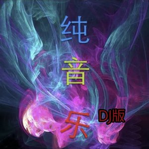 小小新娘花（dj纯音乐）