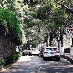 哨遍•春词 苏轼