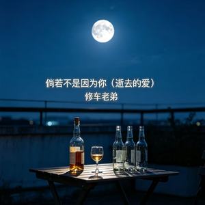 倘若不是因为你（逝去的爱）
