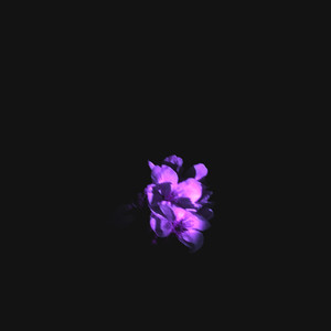 Я бы чаще курил (Prod. By NOT4UDEAR)